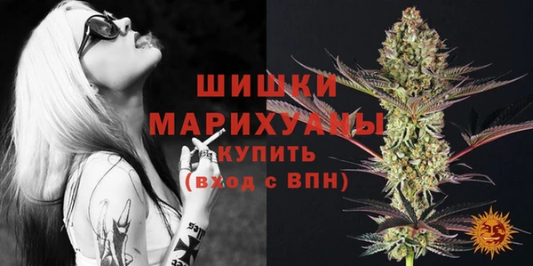 крисы Медвежьегорск
