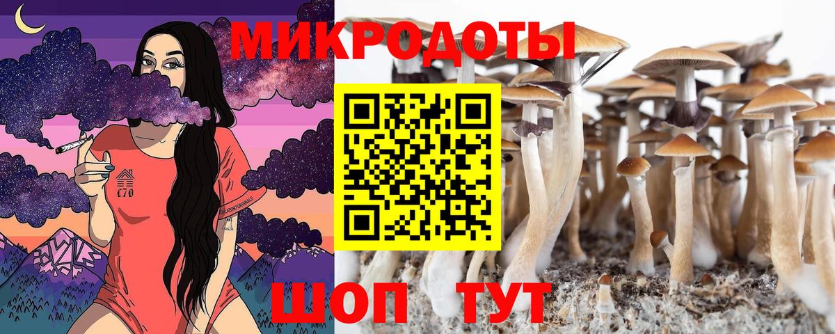 Кирово-Чепецк  Галлюциногенные грибы Magic Shrooms  где найти   Вход с VPN 